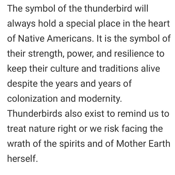 Unique VNTG Native American Thunderbird style necklace and earrings (1950’s) - Picture 3 of 7